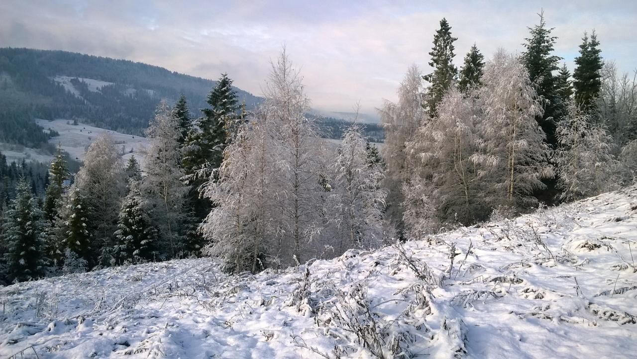 Отель Kavabanga Myta